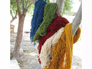BaHaR_07.jpg